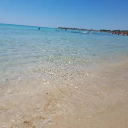 Malese Porto Cesareo